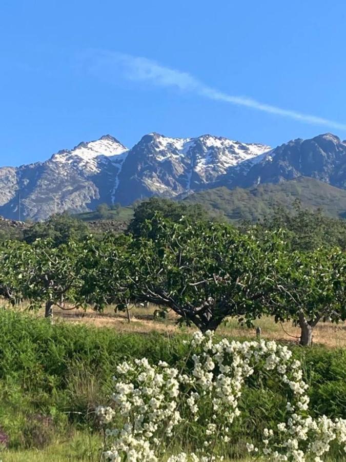 Willa Mirada A Gredos Candeleda Zewnętrze zdjęcie