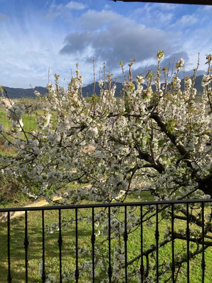 Willa Mirada A Gredos Candeleda Zewnętrze zdjęcie