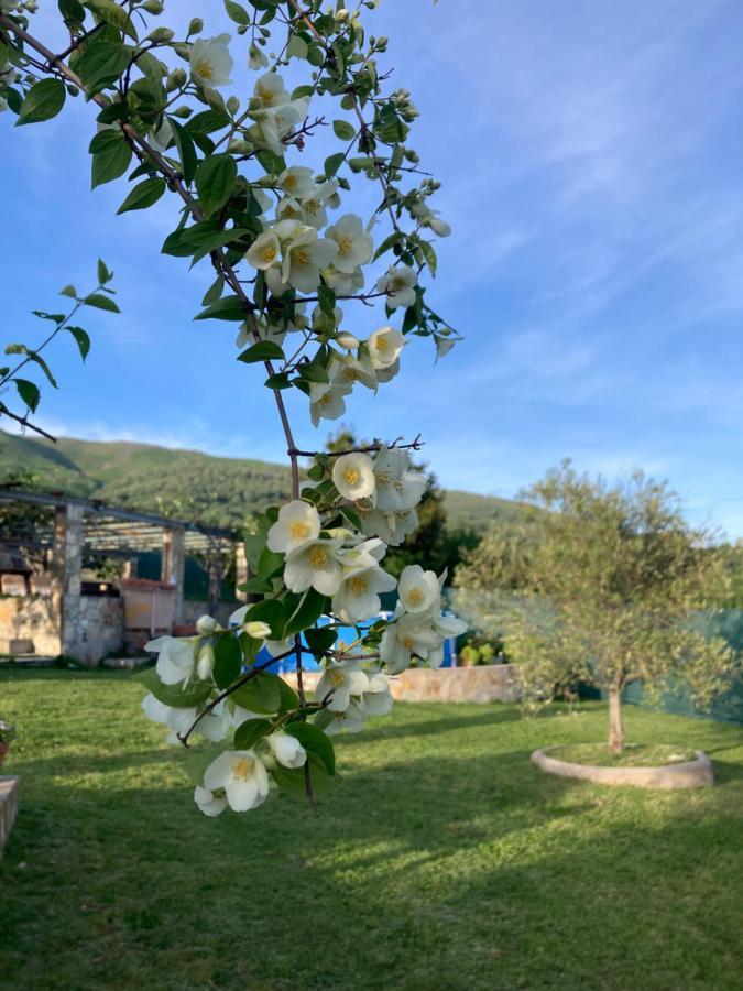Willa Mirada A Gredos Candeleda Zewnętrze zdjęcie